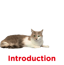 INTRODUCTION