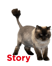 STORY