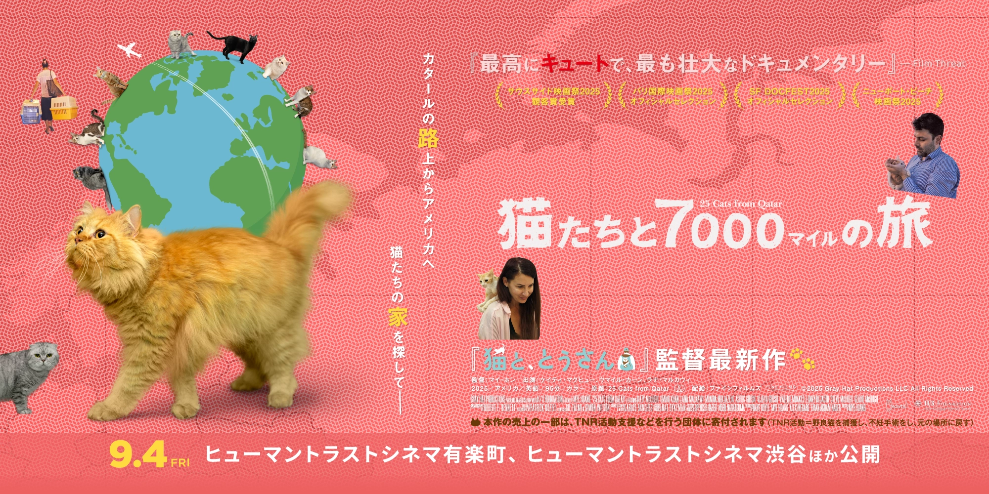 映画『猫たちと7000マイルの旅』公式サイト
