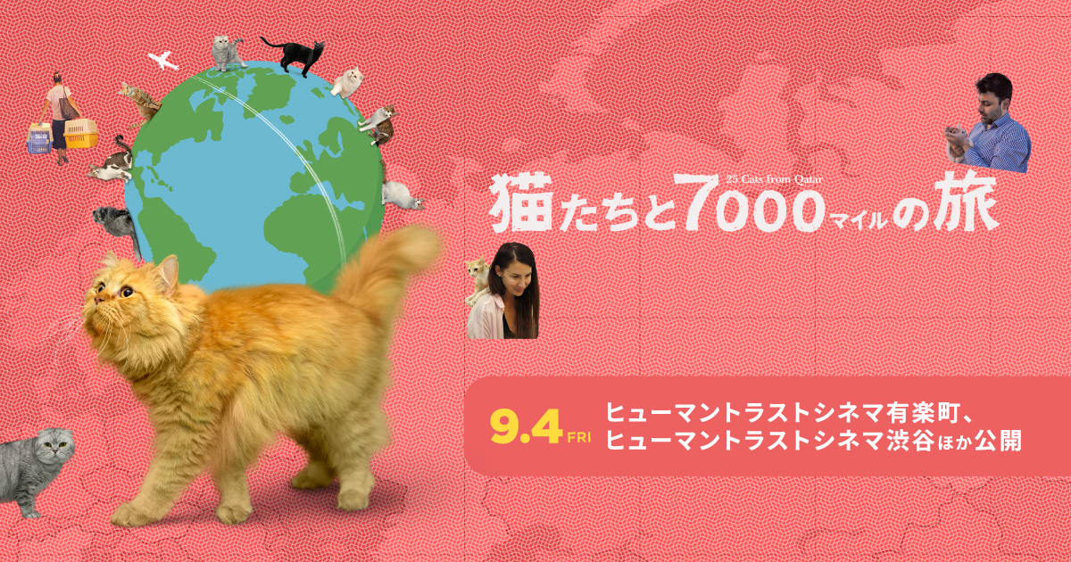 ねこ 映画『猫たちと7000マイルの旅』公式サイト